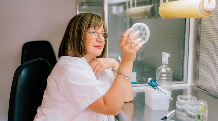 La investigadora del CONICET, Raquel Chan fue distinguida con el prestigioso premio internacional L’Oréal-UNESCO “Por las Mujeres en la Ciencia”.