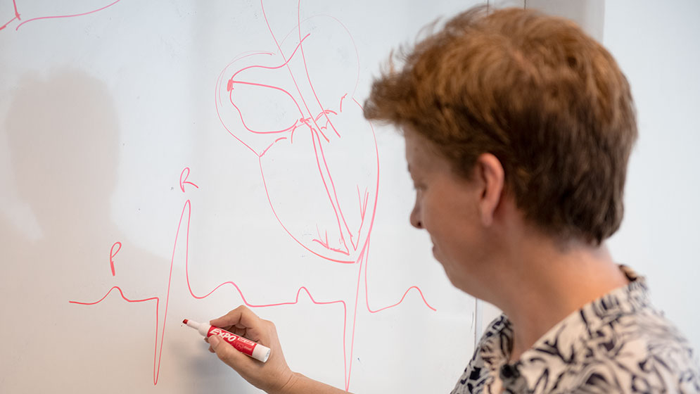 El avance, liderado por la investigadora del CONICET Isabel Irurzun, impulsa el diseño de un marcapasos más avanzado que ya cuenta con una patente. Créditos: CONICET Fotografía / Verónica Tello