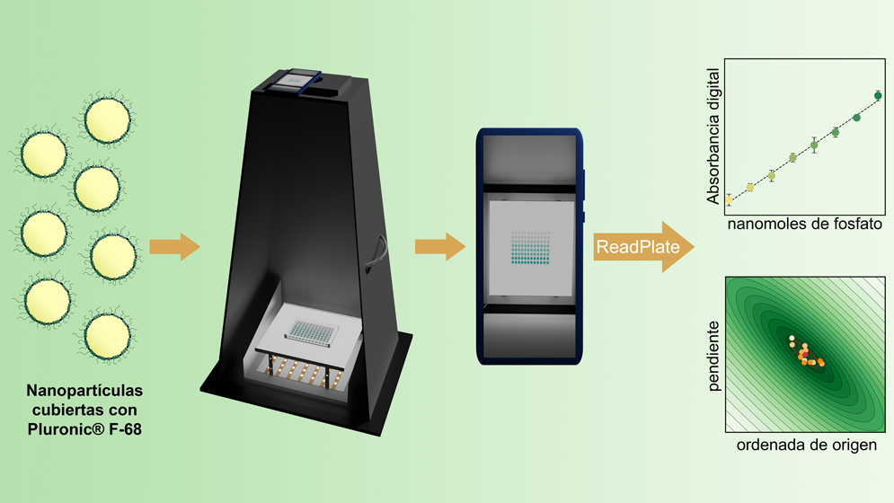 La tecnología económica, rápida y portátil para medir fosfato, desarrollada por especialistas del CONICET y de la UBA, se basa en el empleo de teléfonos inteligentes. Puede tener aplicaciones en agricultura, salud y otras áreas.