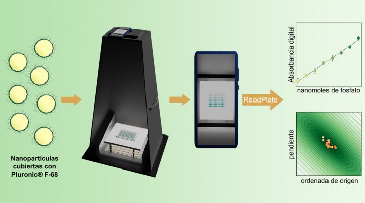 La tecnología económica, rápida y portátil para medir fosfato, desarrollada por especialistas del CONICET y de la UBA, se basa en el empleo de teléfonos inteligentes.