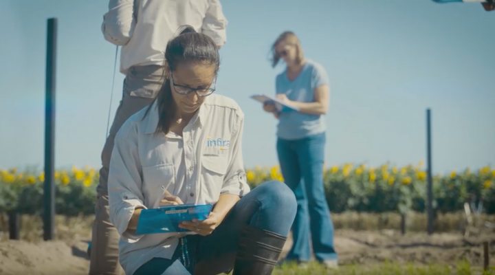 Renata Reinheimer es investigaora del CONICET en el Instituto Agrobiotecnología del Litoral (IAL, CONICET-UNL) y cofundadora y CEO de INFIRA.